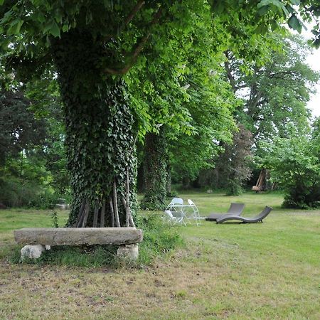 L'Orangerie Du Chateau - Le Nid - Gite 2 Personnes Brain-sur-Allonnes 외부 사진